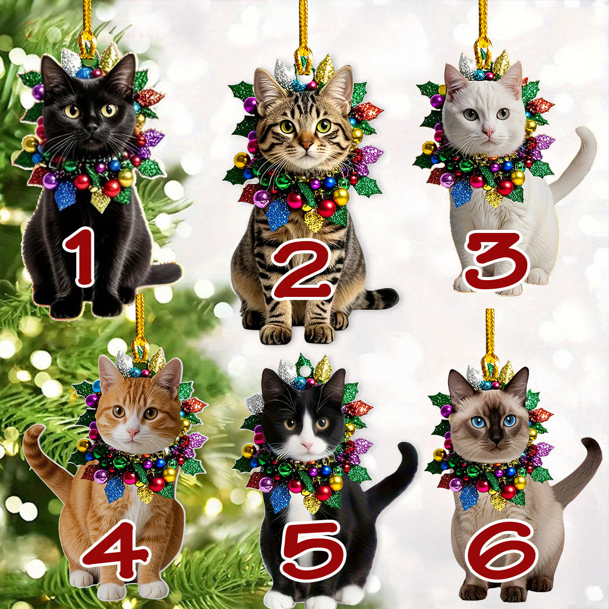 Lorva Cat 2D Acrylic Gorgeous Catmas