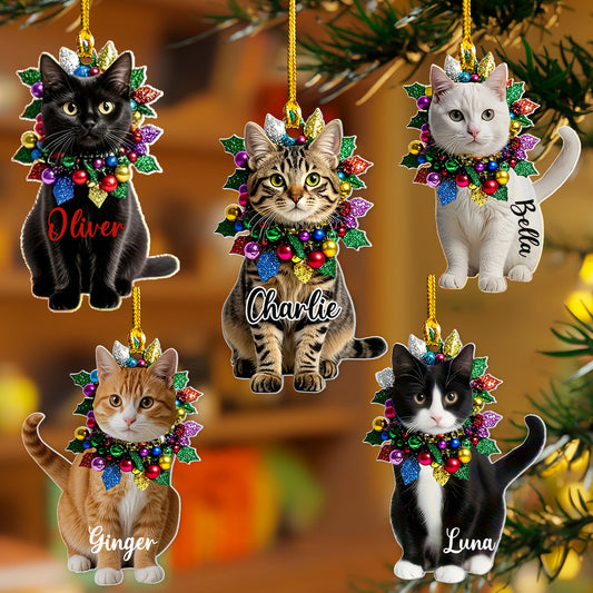 Lorva Cat 2D Acrylic Gorgeous Catmas