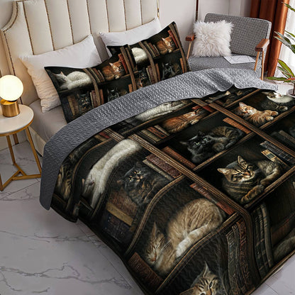 Lorva All Season Quilt 3-Piece Set Whiskers In The Book Nook