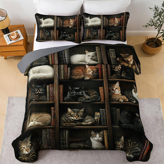 Lorva All Season Quilt 3-Piece Set Whiskers In The Book Nook