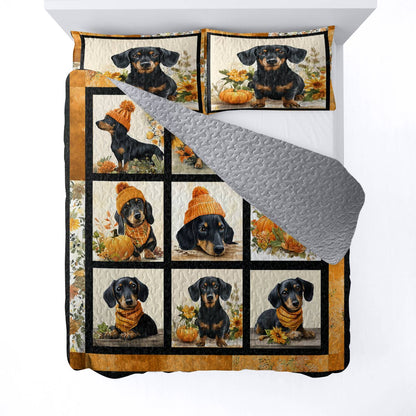 Lorva All Season Quilt 3-Piece Set Autumn Doxie Dreams