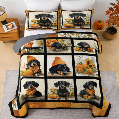Lorva All Season Quilt 3-Piece Set Autumn Doxie Dreams