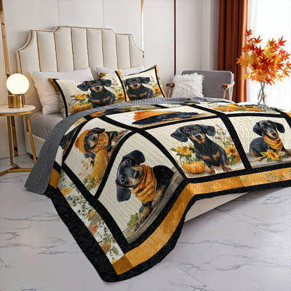 Lorva All Season Quilt 3-Piece Set Autumn Doxie Dreams