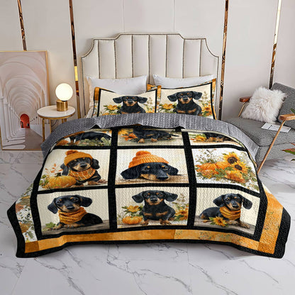 Lorva All Season Quilt 3-Piece Set Autumn Doxie Dreams