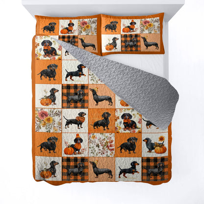 Dachshund Lorva All Season Quilt 3-Piece Set Pumpkin Patch Dachshunds