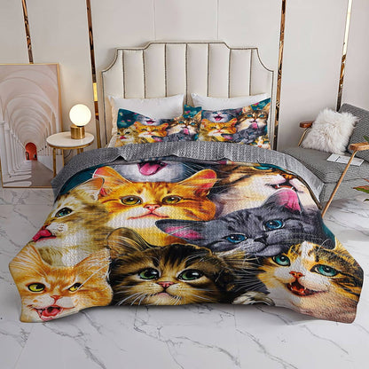 Lorva Cat All Season Quilt 3-Piece Set Playful Friends
