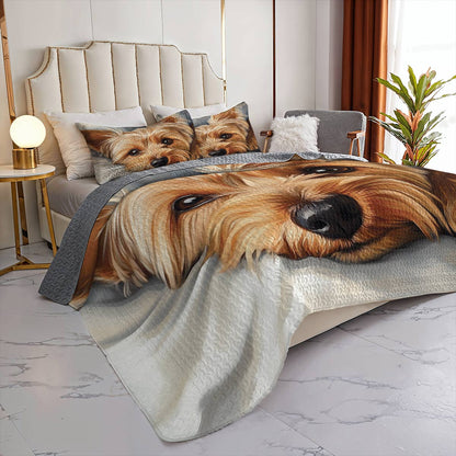 Lorva All Season Quilt 3-Piece Set Snuggly Pup