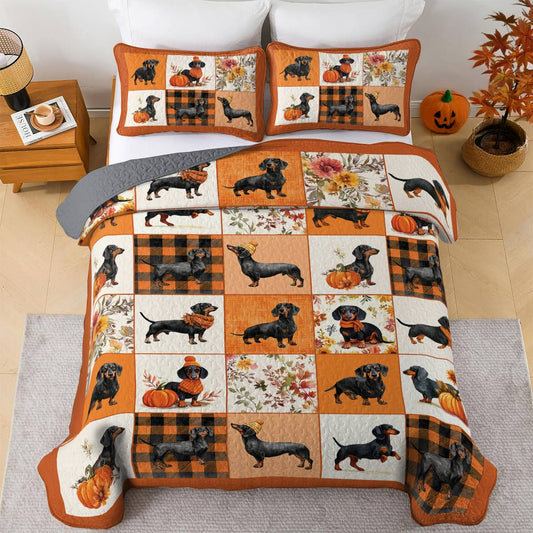 Dachshund Lorva All Season Quilt 3-Piece Set Pumpkin Patch Dachshunds