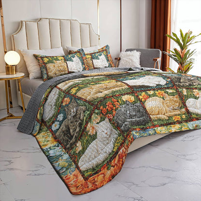 Lorva All Season Quilt 3-Piece Set Catnap Harmony