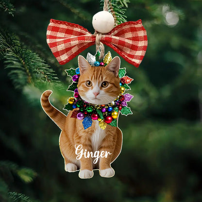 Lorva Cat 2D Acrylic Gorgeous Catmas