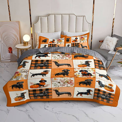 Dachshund Lorva All Season Quilt 3-Piece Set Pumpkin Patch Dachshunds