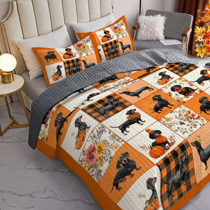 Dachshund Lorva All Season Quilt 3-Piece Set Pumpkin Patch Dachshunds