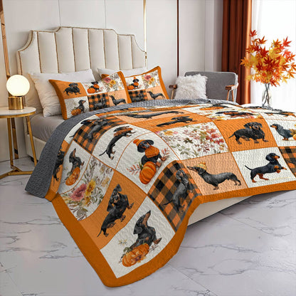 Dachshund Lorva All Season Quilt 3-Piece Set Pumpkin Patch Dachshunds