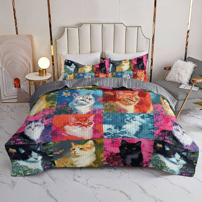 Lorva All Season Quilt 3-Piece Set Colorful Flowers Cats