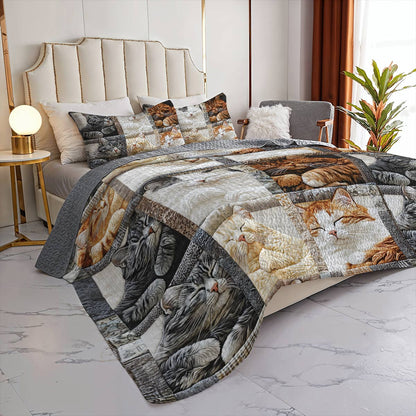 Lorva All Season Quilt 3-Piece Set Purrfect Dreams