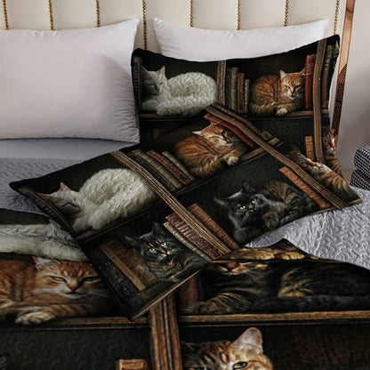 Lorva All Season Quilt 3-Piece Set Whiskers In The Book Nook