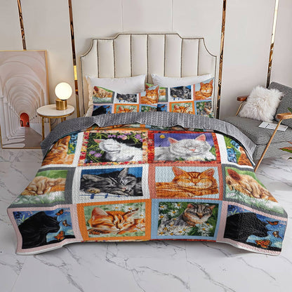 Lorva All Season Quilt 3-Piece Set Dreaming Kittens Garden
